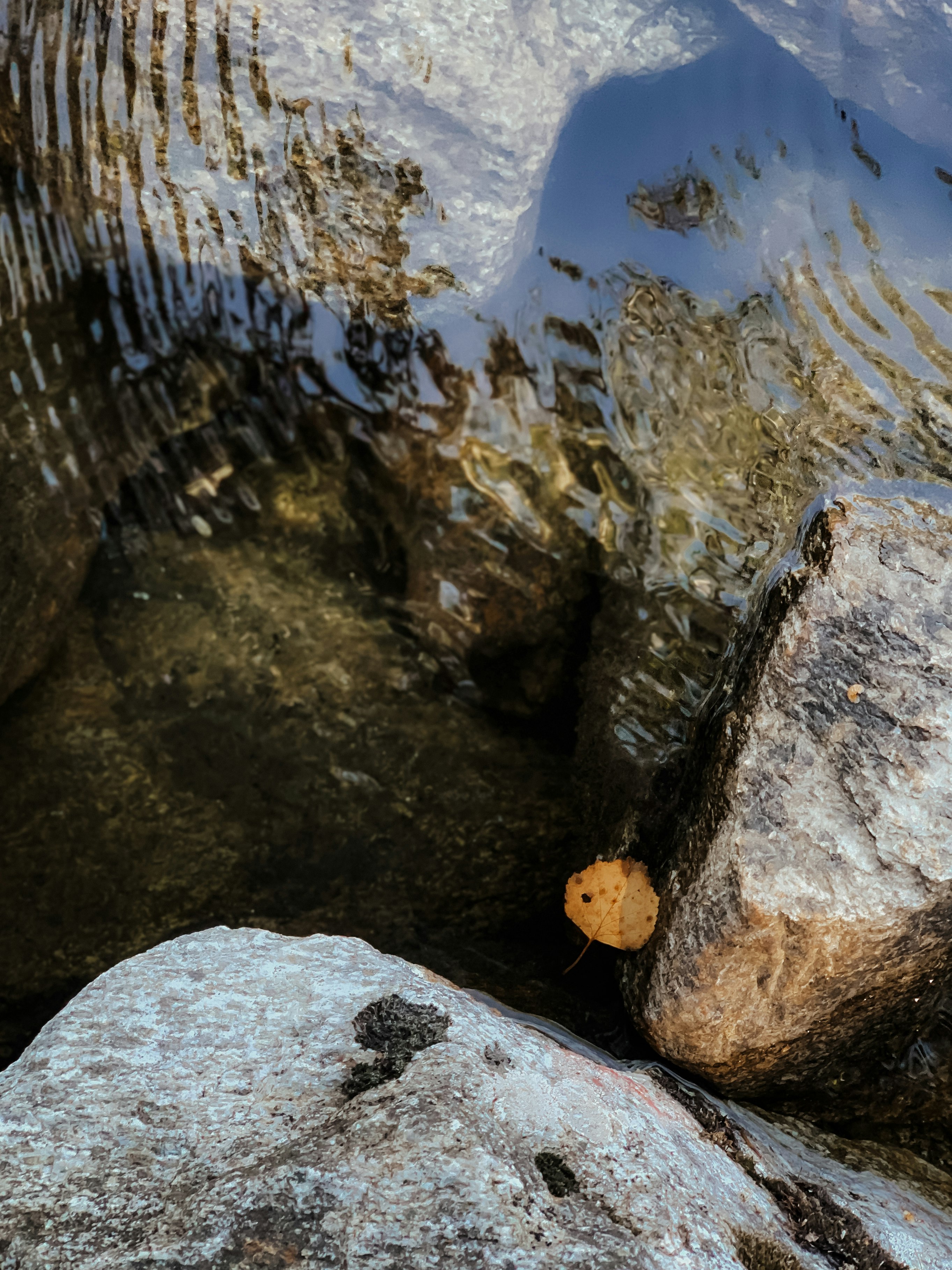 brown and white stone on water